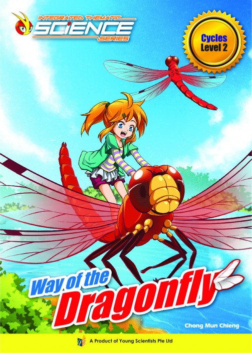 WAY OF THE DRAGONFLY  Level 2